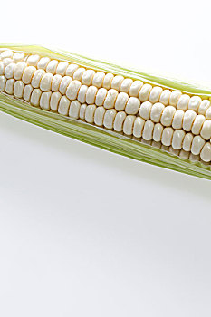 转基因,玉米