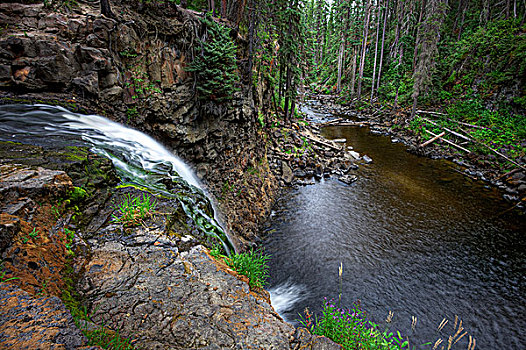 溪流,瀑布,不列颠哥伦比亚省,加拿大