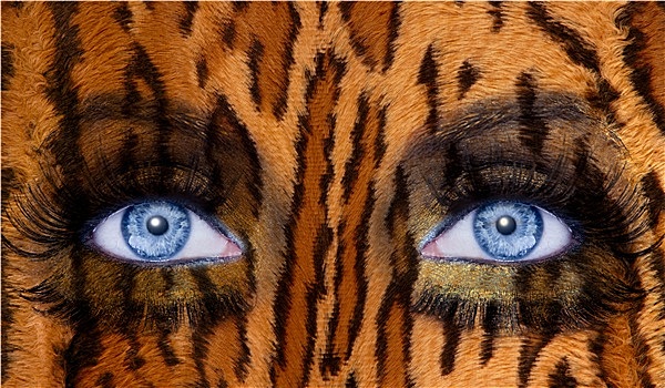 蓝色,时尚,化妆,眼睛,豹,美洲虎,皮肤,纹理