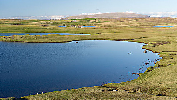 风景,湾,设得兰群岛,苏格兰,大幅,尺寸