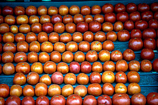 排,西红柿,户外市场,阿拉巴马,美国
