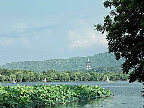 杭州西湖,雷峰塔