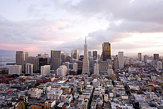 风景,塔,旧金山,加利福尼亚,美国
