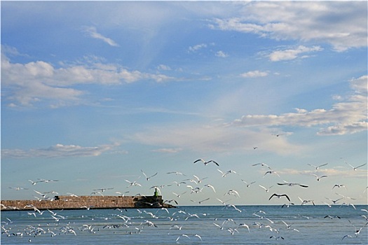 蓝色,地中海,风景,许多,海鸥,飞