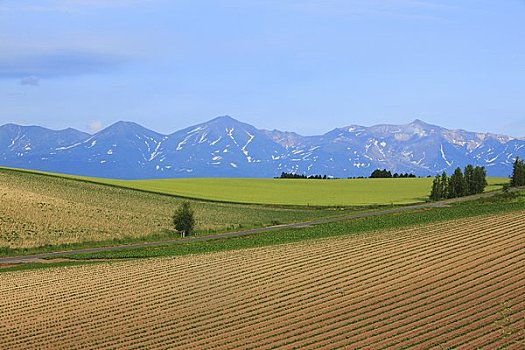 山,美瑛