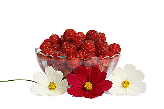 浆果,树莓,玻璃花瓶,桌子,花