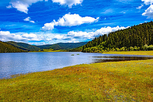 普达措的森林湖泊山丘草地全景图