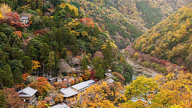 俯视,岚山,秋天