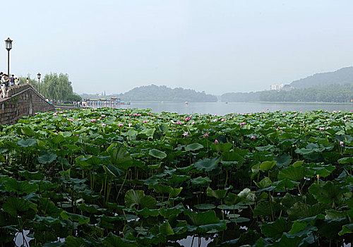 浙江杭州西湖断桥