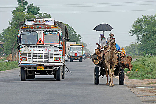 骆驼,手推车,卡车,公路,靠近,拉贾斯坦邦,印度,亚洲