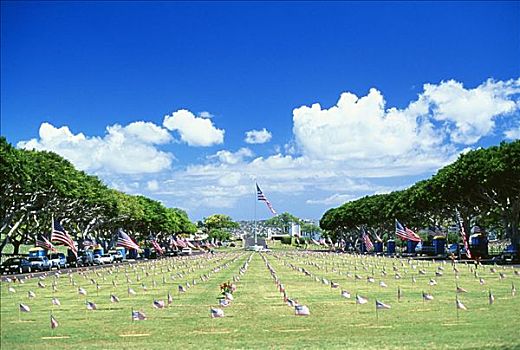 夏威夷,瓦胡岛,公墓,美国国旗,远景,墓穴,独特,旗帜,围绕