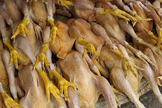 柬埔寨,金边,俄罗斯,市场,鸡肉,出售