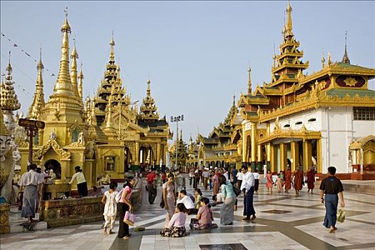 缅甸,仰光,佛教,祈祷,小,佛塔,庙宇,神祠,亭子,宗教像,雕塑,大金寺,金庙,印度