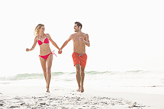 幸福伴侣,握手,海滩
