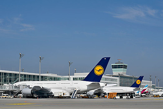飞机,空中客车,汉莎航空公司,登记,位置,航站楼,慕尼黑,机场,上巴伐利亚,巴伐利亚,德国,欧洲