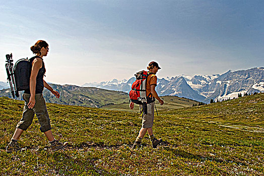 女人,远足者,引导,小路,远眺,壮观,山脉,靠近,金色,区域,不列颠哥伦比亚省,加拿大