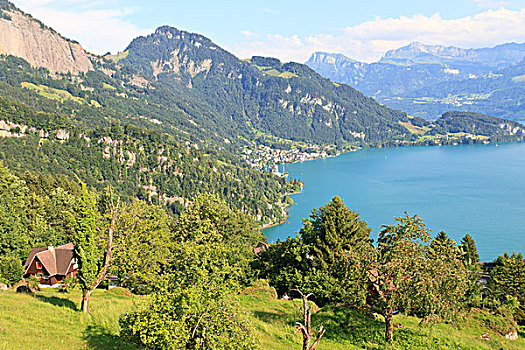 瑞士,阿尔卑斯山