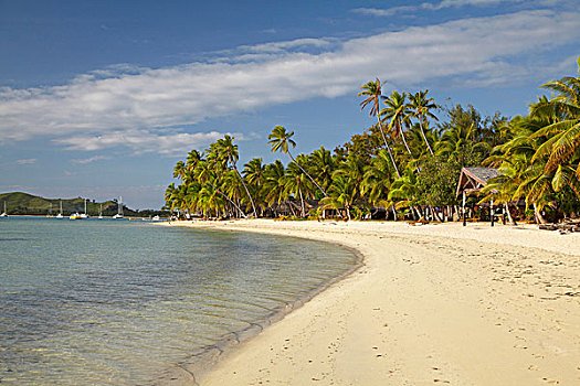 海滩,棕榈树,种植园,岛屿,玛玛努卡群岛,斐济,南太平洋