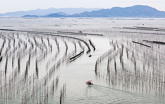 海田