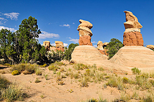 怪岩柱,花园,大阶梯-埃斯卡兰特国家保护区,犹他,美国,北美