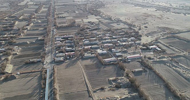 新疆哈密,春季的哈密瓜核心种植区忙碌景象