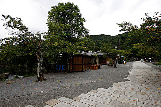 日本,京都,岚山