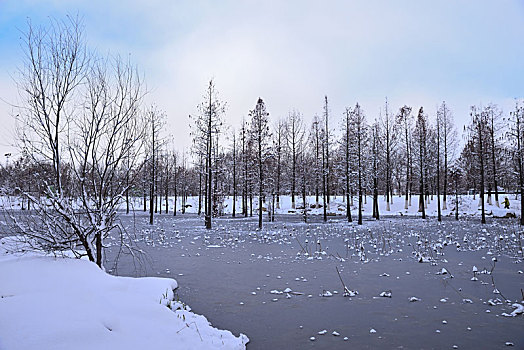 雪景