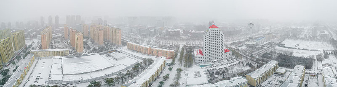 城市雪景,冬季的雪景