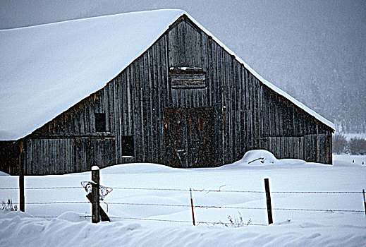 谷仓,暴风雪,做糕点,俄勒冈,美国