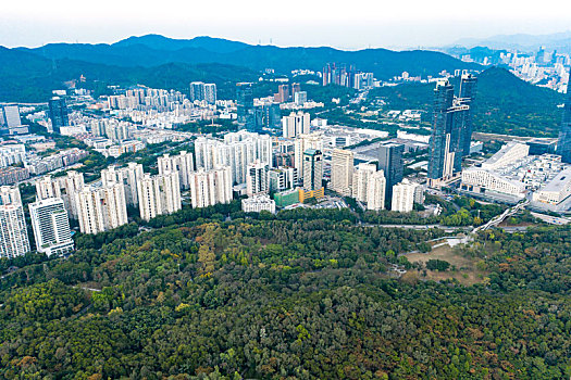 深圳莲花山市民广场航拍