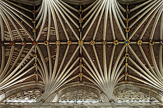 哥特式,拱顶,埃克塞特,大教堂,13世纪,侧面视角,德文郡,英格兰,英国,欧洲
