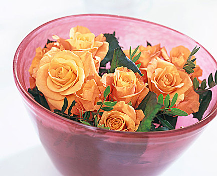 花束,玫瑰,开心果,叶子,玻璃碗