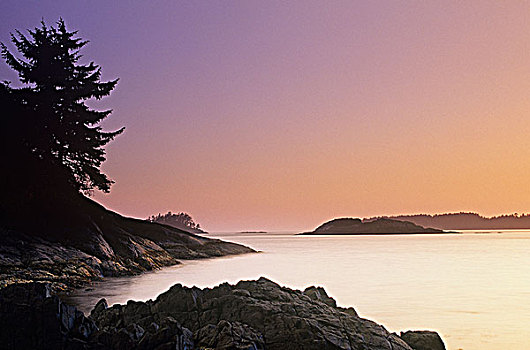 日落,海滩,温哥华岛,不列颠哥伦比亚省,加拿大