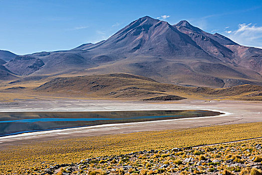 湖,佩特罗,阿塔卡马沙漠,智利