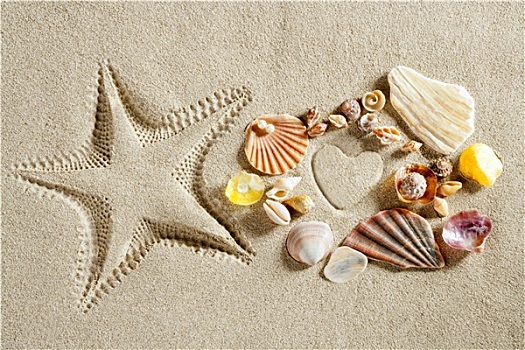 海滩,白沙,心形,海星,夏天