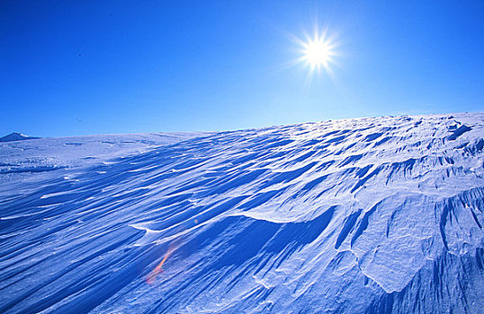 雪,基奈,肯奈半岛,冬天,景色