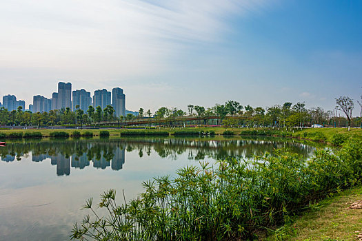 成都北湖生态公园