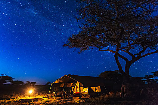奢华,移动,露营,塞伦盖蒂国家公园,坦桑尼亚
