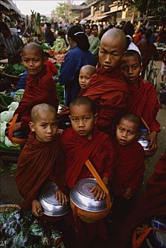 缅甸,孩子,新手,僧侣,市场