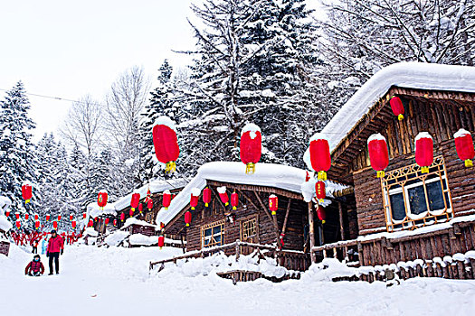 走进,中国雪乡,探访冬日里的童话世界