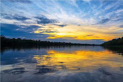 漂亮,亚马逊河,日落