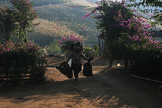 云南思茅地区孟连县芒信乡海东村芒旧新寨是一个哈尼族的村寨,他们自己种植山花来美化自己居住的寨子