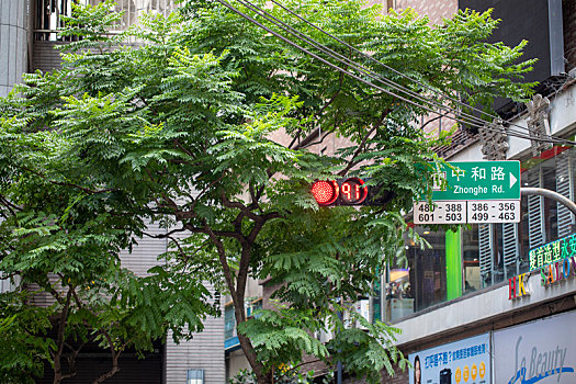 台湾台北的行人号志灯及路边的店招