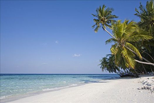棕榈海滩,马尔代夫