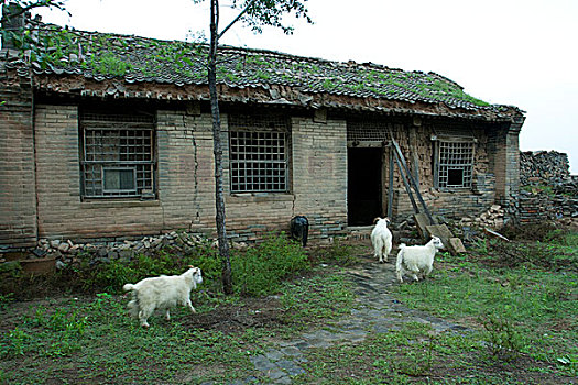 陕西横山波罗古城