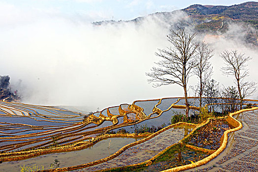 元阳梯田