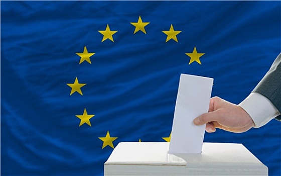 男人,投票,选举,欧洲,正面,旗帜
