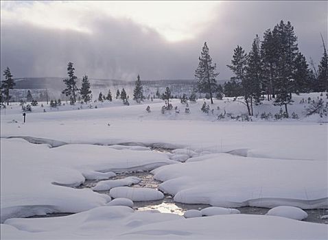 冬天,黄石国家公园,怀俄明