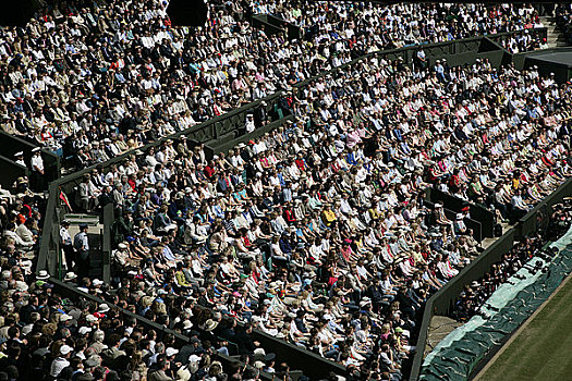 英格兰,伦敦,温布尔登,一堆,看,玩,中心,球场,一个,网球,冠军,2008年
