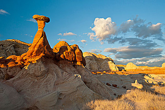 伞菌,区域,公路,靠近,犹他,页岩,亚利桑那,陆地,大阶梯-埃斯卡兰特国家保护区